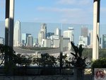 IMG_4979
