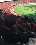 IMG_4552