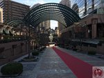 IMG_4696