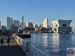 IMG_3955
