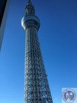 IMG_5286