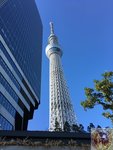 IMG_5257
