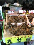 IMG_4413 (Copy)