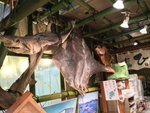 IMG_4428 (Copy)
