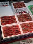 IMG_4432 (Copy)