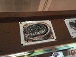 IMG_4520 (Copy)