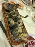 IMG_6311 (Copy)