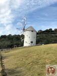 IMG_0517 (Copy)