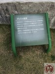 IMG_0523 (Copy)