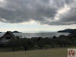 IMG_0528 (Copy)