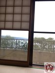 IMG_0231 (Copy)