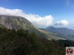 IMG_0443 (Copy)