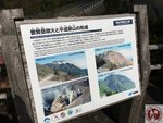 IMG_0449 (Copy)