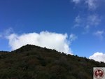 IMG_0454 (Copy)