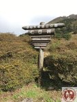 IMG_0457 (Copy)