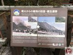 IMG_0461 (Copy)