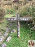 IMG_0473 (Copy)