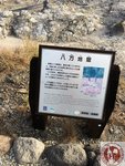 IMG_0417 (Copy)