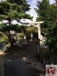 IMG_0423 (Copy)