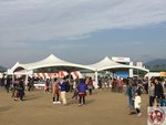 IMG_0741 (Copy)