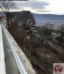 IMG_2455 (Copy)