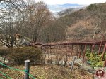 IMG_2471 (Copy)