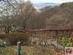 IMG_2472 (Copy)