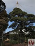 IMG_2436 (Copy)