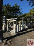 IMG_3052 (Copy)