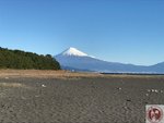 IMG_3054 (Copy)