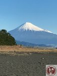 IMG_3056 (Copy)
