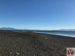 IMG_3062 (Copy)