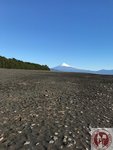 IMG_3064 (Copy)