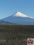 IMG_3065 (Copy)