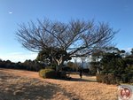 IMG_2791 (Copy)