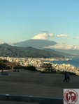 IMG_2818 (Copy)