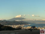 IMG_2823 (Copy)
