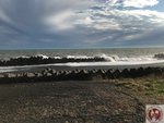IMG_2763 (Copy)