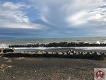 IMG_2767 (Copy)