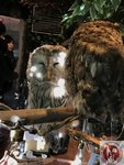 IMG_3266 (Copy)
