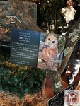 IMG_3279 (Copy)