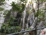 IMG_3425 (Copy)