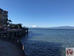 IMG_3091 (Copy)