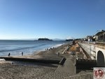 IMG_3182 (Copy)