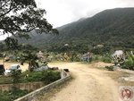 IMG_5566 (Copy)