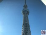 IMG_4024 (Copy)