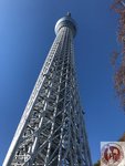 IMG_3987 (Copy)
