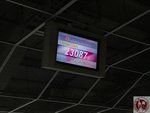 IMG_3536 (Copy)