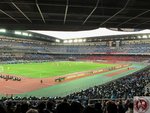 IMG_3537 (Copy)