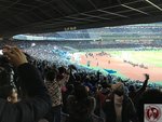 IMG_3542 (Copy)